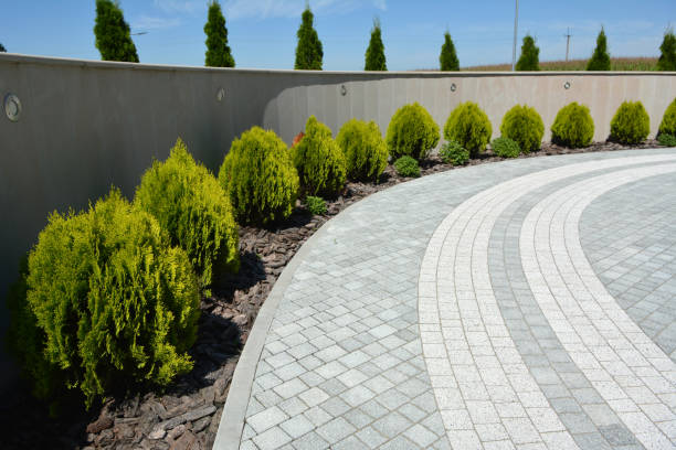 Best Driveway Paving Contractor  in Seeley, CA